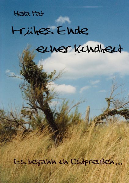 Cover von Frühes Ende einer Kindheit