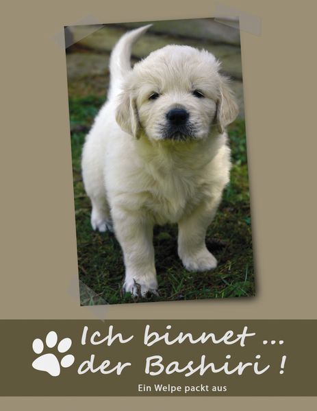 Cover von Ich binnet… der Bashiri!