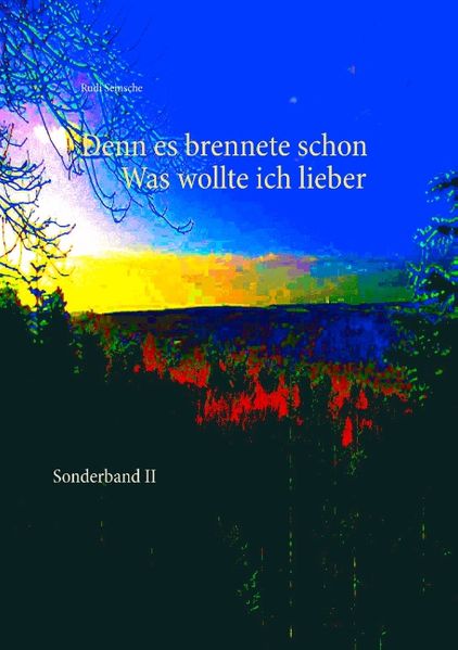 Cover von Denn es brennete schon, was wollte ich lieber