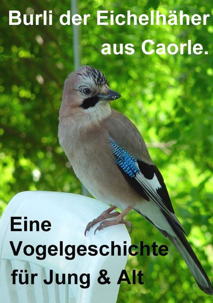 Cover von Burli der Eichelhäher aus Caorle