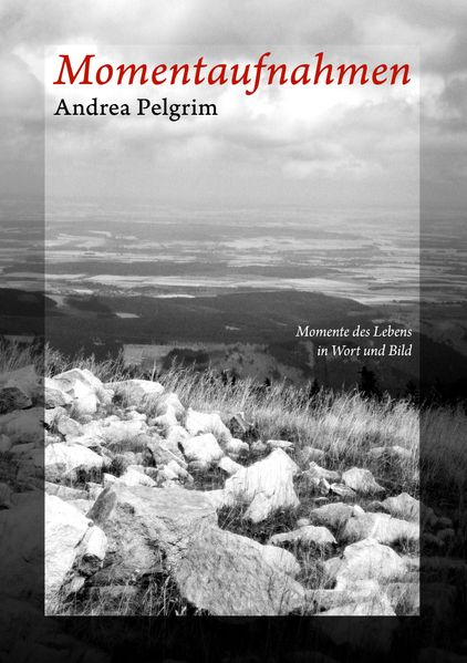 Cover von Momentaufnahmen