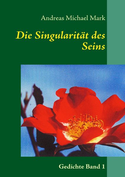 Cover von Die Singularität des Seins