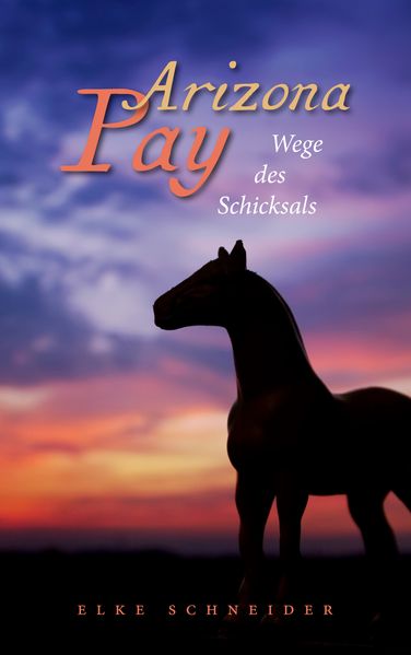 Cover von Arizona Pay