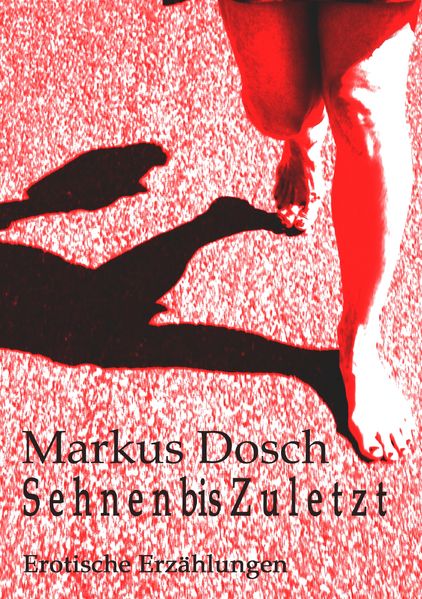 Cover von S e h n e n  bis Z u l e t z t