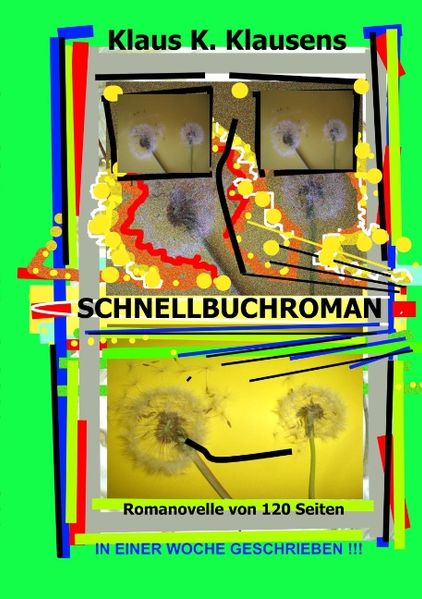 Cover von Schnellbuchroman