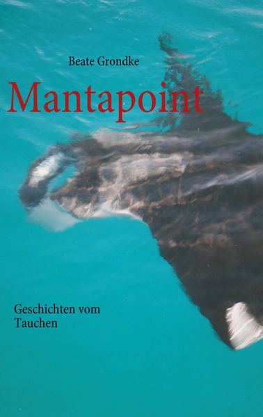 Cover von Mantapoint