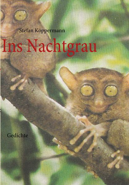 Cover von Ins Nachtgrau