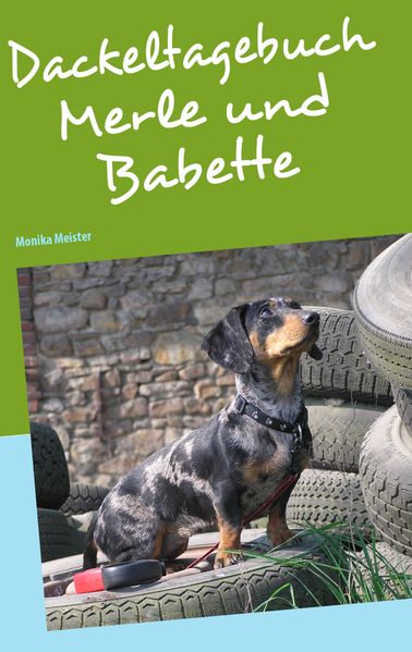 Cover von Dackeltagebuch