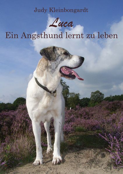 Cover von Luca