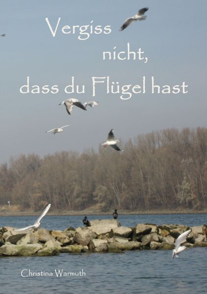 Cover von Vergiss nicht, dass du Flügel hast