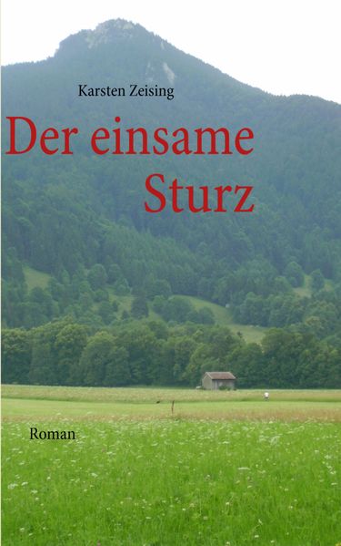 Cover von Der einsame Sturz