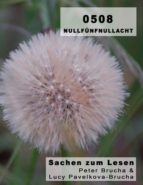 Cover von 0508