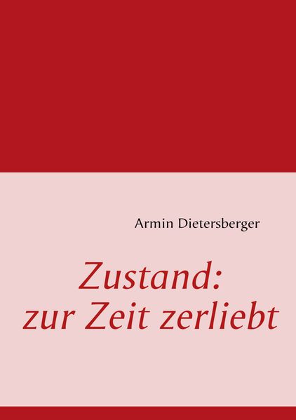 Cover von Zustand: zur Zeit zerliebt