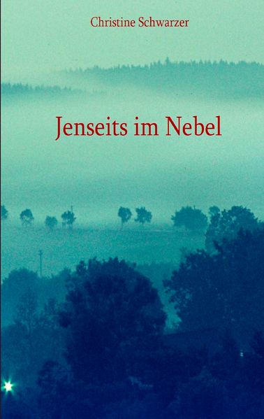 Cover von Jenseits im Nebel