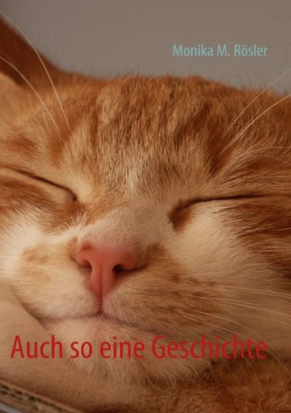 Cover von Auch so eine Geschichte