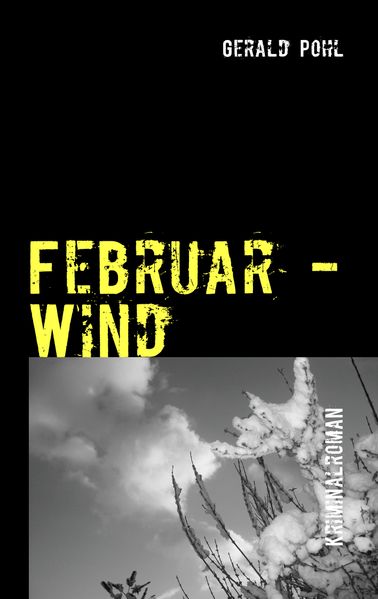 Cover von Februar – Wind
