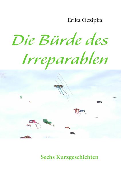 Cover von Die Bürde des Irreparablen