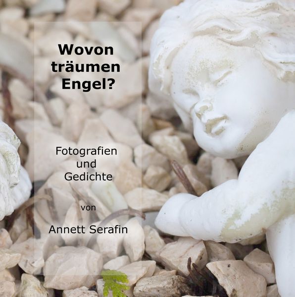 Cover von Wovon träumen Engel?