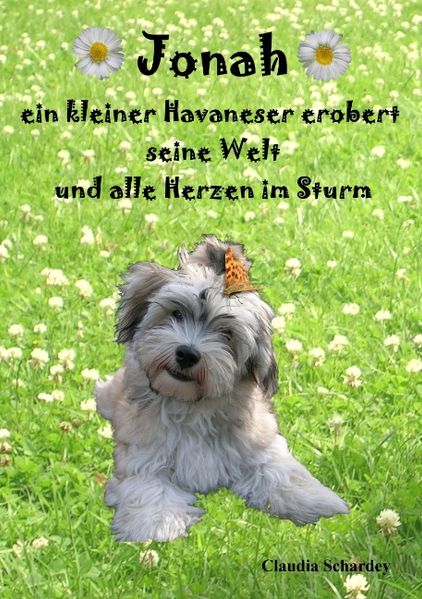 Cover von Jonah, ein kleiner Havaneser erobert seine Welt und alle Herzen im Sturm