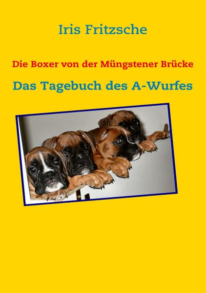 Cover von Die Boxer von der Müngstener Brücke