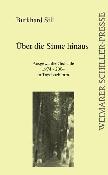 Cover von Über die Sinne hinaus
