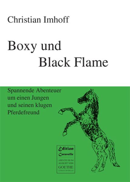 Cover von Boxy und Black Flame