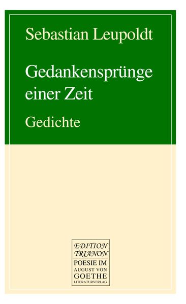 Cover von Gedankensprünge einer Zeit