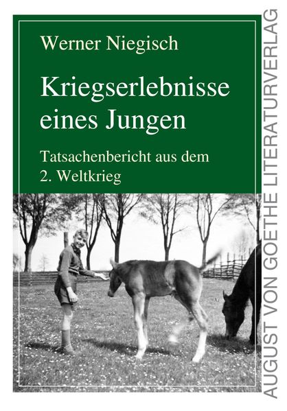 Cover von Kriegserlebnisse eines Jungen
