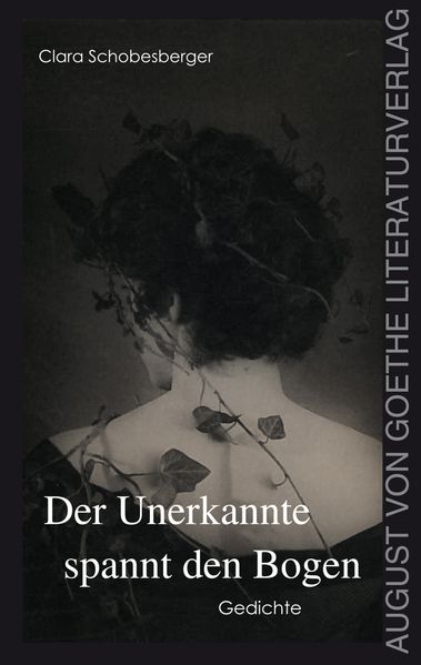 Cover von Der Unerkannte spannt den Bogen