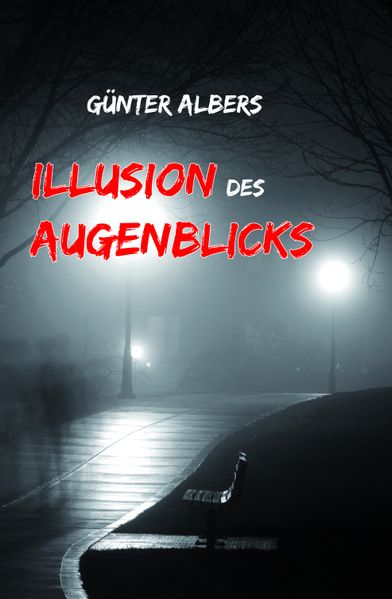 Cover von Illusion des Augenblicks