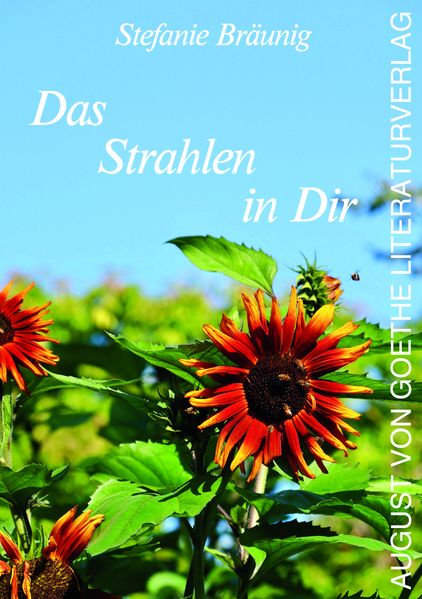 Cover von Das Strahlen in Dir