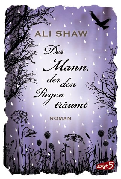 Cover von Der Mann, der den Regen träumt