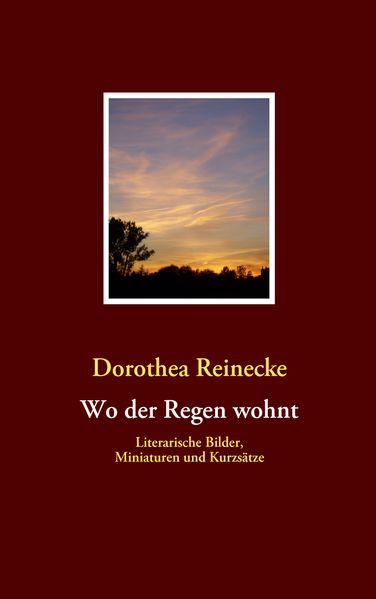 Cover von Wo der Regen wohnt