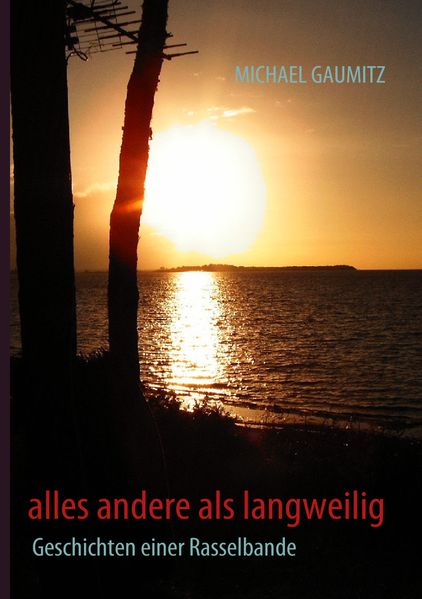 Cover von alles andere als langweilig