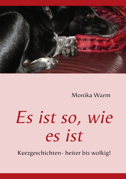 Cover von Es ist so, wie es ist