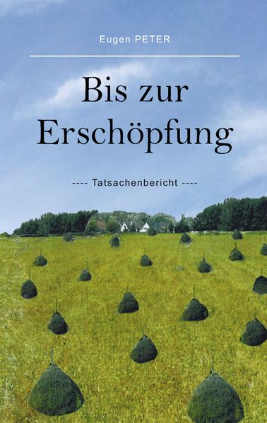 Cover von Bis zur Erschöpfung
