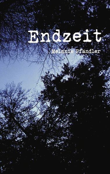 Cover von Endzeit