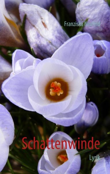 Cover von Schattenwinde