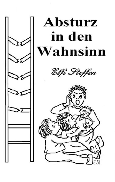 Cover von Absturz in den Wahnsinn