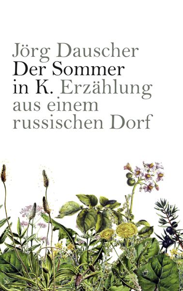 Cover von Der Sommer in K.