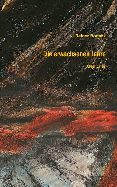 Cover von Die erwachsenen Jahre