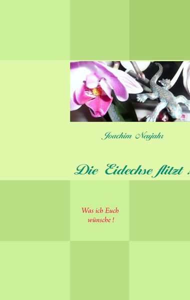 Cover von Die Eidechse flitzt !