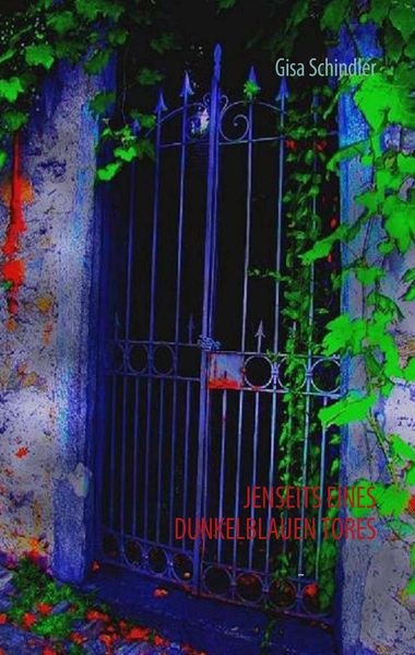 Cover von Jenseits eines dunkelblauen Tores