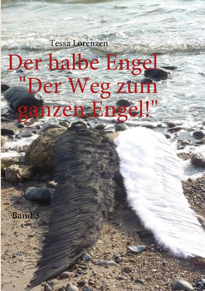 Cover von Der halbe Engel Band 3 Der Weg zum ganzen Engel!