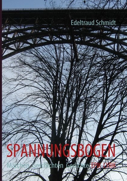 Cover von SPANNUNGSBOGEN