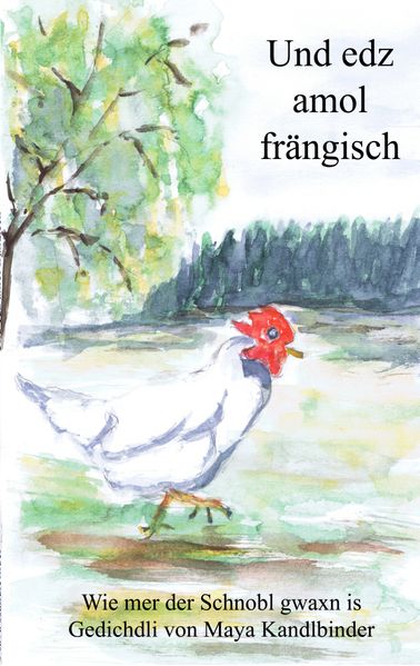 Cover von und edz amol frängisch