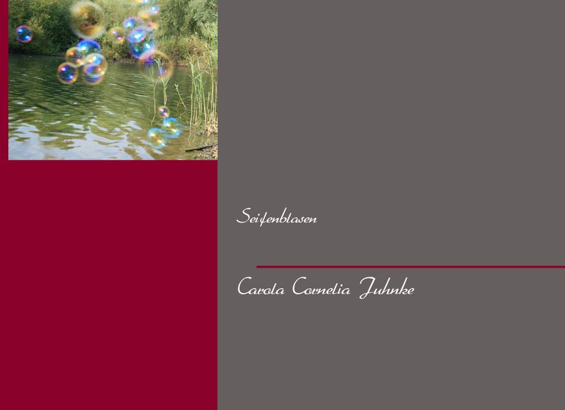 Cover von Seifenblasen