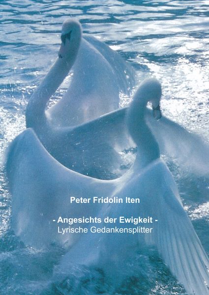 Cover von Angesichts der Ewigkeit