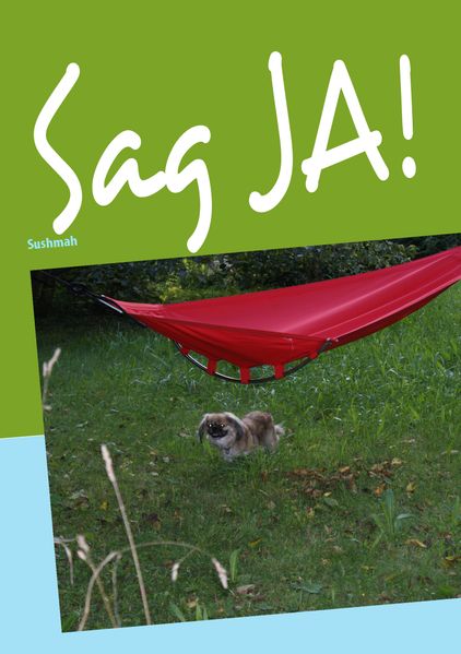 Cover von Sag JA!