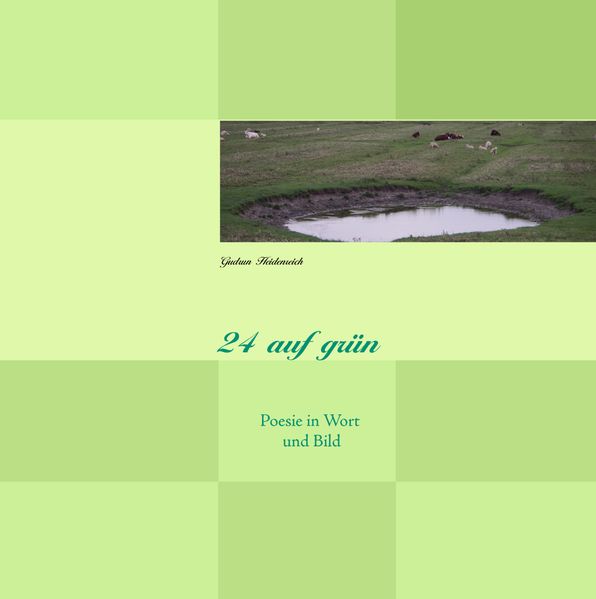 Cover von 24 auf grün